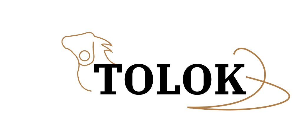 Galery – Tolok